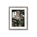 Picture of Lurking Cheetah _GroupedProduct_Rectangle_Portrait_Framed_Matted_