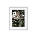 Picture of Lurking Cheetah _GroupedProduct_Rectangle_Portrait_Framed_Matted_