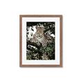 Picture of Lurking Cheetah _GroupedProduct_Rectangle_Portrait_Framed_Matted_