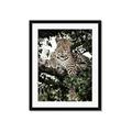 Picture of Lurking Cheetah _GroupedProduct_Rectangle_Portrait_Framed_Matted_