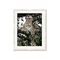 Picture of Lurking Cheetah _GroupedProduct_Rectangle_Portrait_Framed_Matted_