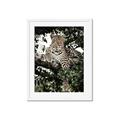 Picture of Lurking Cheetah _GroupedProduct_Rectangle_Portrait_Framed_Matted_