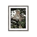 Picture of Lurking Cheetah _GroupedProduct_Rectangle_Portrait_Framed_Matted_