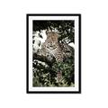Picture of Lurking Cheetah _GroupedProduct_Rectangle_Portrait_Framed_Matted_