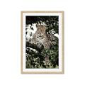 Picture of Lurking Cheetah _GroupedProduct_Rectangle_Portrait_Framed_Matted_
