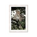 Picture of Lurking Cheetah _GroupedProduct_Rectangle_Portrait_Framed_Matted_