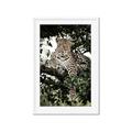 Picture of Lurking Cheetah _GroupedProduct_Rectangle_Portrait_Framed_Matted_