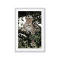 Picture of Lurking Cheetah _GroupedProduct_Rectangle_Portrait_Framed_Matted_