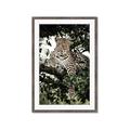 Picture of Lurking Cheetah _GroupedProduct_Rectangle_Portrait_Framed_Matted_