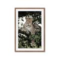 Picture of Lurking Cheetah _GroupedProduct_Rectangle_Portrait_Framed_Matted_
