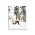 Picture of Moose in the snow _GroupedProduct_Rectangle_Portrait_Photography _GroupedProduct_Rectangle_Portrait_Framed_Matted_