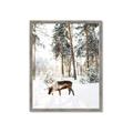 Picture of Moose in the snow _GroupedProduct_Rectangle_Portrait_Photography _GroupedProduct_Rectangle_Portrait_Framed_Matted_