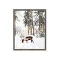 Picture of Moose in the snow _GroupedProduct_Rectangle_Portrait_Photography _GroupedProduct_Rectangle_Portrait_Framed_Matted_