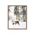 Picture of Moose in the snow _GroupedProduct_Rectangle_Portrait_Photography _GroupedProduct_Rectangle_Portrait_Framed_Matted_
