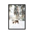 Picture of Moose in the snow _GroupedProduct_Rectangle_Portrait_Photography _GroupedProduct_Rectangle_Portrait_Framed_Matted_