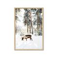 Picture of Moose in the snow _GroupedProduct_Rectangle_Portrait_Photography _GroupedProduct_Rectangle_Portrait_Framed_Matted_