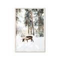Picture of Moose in the snow _GroupedProduct_Rectangle_Portrait_Photography _GroupedProduct_Rectangle_Portrait_Framed_Matted_