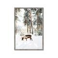 Picture of Moose in the snow _GroupedProduct_Rectangle_Portrait_Photography _GroupedProduct_Rectangle_Portrait_Framed_Matted_