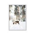 Picture of Moose in the snow _GroupedProduct_Rectangle_Portrait_Photography _GroupedProduct_Rectangle_Portrait_Framed_Matted_