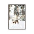 Picture of Moose in the snow _GroupedProduct_Rectangle_Portrait_Photography _GroupedProduct_Rectangle_Portrait_Framed_Matted_