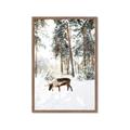 Picture of Moose in the snow _GroupedProduct_Rectangle_Portrait_Photography _GroupedProduct_Rectangle_Portrait_Framed_Matted_