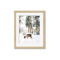 Picture of Moose in the snow _GroupedProduct_Rectangle_Portrait_Photography _GroupedProduct_Rectangle_Portrait_Framed_Matted_