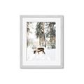 Picture of Moose in the snow _GroupedProduct_Rectangle_Portrait_Photography _GroupedProduct_Rectangle_Portrait_Framed_Matted_