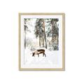 Picture of Moose in the snow _GroupedProduct_Rectangle_Portrait_Photography _GroupedProduct_Rectangle_Portrait_Framed_Matted_