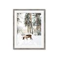 Picture of Moose in the snow _GroupedProduct_Rectangle_Portrait_Photography _GroupedProduct_Rectangle_Portrait_Framed_Matted_
