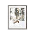 Picture of Moose in the snow _GroupedProduct_Rectangle_Portrait_Photography _GroupedProduct_Rectangle_Portrait_Framed_Matted_
