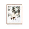 Picture of Moose in the snow _GroupedProduct_Rectangle_Portrait_Photography _GroupedProduct_Rectangle_Portrait_Framed_Matted_
