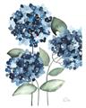 Picture of Blue Hydrangeas II _GroupedProduct_Rectangle_Portrait_Unframed_Print_Only_