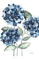 Picture of Blue Hydrangeas II _GroupedProduct_Rectangle_Portrait_Unframed_Print_Only_