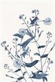 Picture of Blue Flower Sketch I _GroupedProduct_Rectangle_Portrait_Unframed_Print_Only_