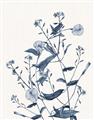 Picture of Blue Flower Sketch I _GroupedProduct_Rectangle_Portrait_Unframed_Print_Only_