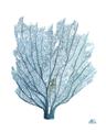 Picture of Blue Tree I _GroupedProduct_Rectangle_Portrait_Unframed_Print_Only_