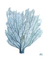 Picture of Blue Tree I _GroupedProduct_Rectangle_Portrait_Unframed_Print_Only_
