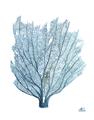 Picture of Blue Tree I _GroupedProduct_Rectangle_Portrait_Unframed_Print_Only_