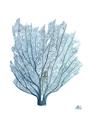 Picture of Blue Tree I _GroupedProduct_Rectangle_Portrait_Unframed_Print_Only_