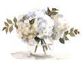 Picture of White Hydrangea in a Vase _GroupedProduct_Rectangle_Landscape_Unframed_Print_Only_