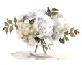 Picture of White Hydrangea in a Vase _GroupedProduct_Rectangle_Landscape_Unframed_Print_Only_