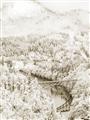Picture of Winter snowscape _GroupedProduct_Rectangle_Portrait_Photography _GroupedProduct_Rectangle_Portrait_Unframed_Print_Only_