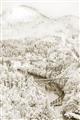Picture of Winter snowscape _GroupedProduct_Rectangle_Portrait_Photography _GroupedProduct_Rectangle_Portrait_Unframed_Print_Only_