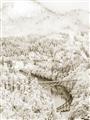 Picture of Winter snowscape _GroupedProduct_Rectangle_Portrait_Photography _GroupedProduct_Rectangle_Portrait_Unframed_Print_Only_