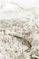 Picture of Winter snowscape _GroupedProduct_Rectangle_Portrait_Photography _GroupedProduct_Rectangle_Portrait_Unframed_Print_Only_