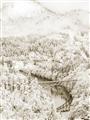 Picture of Winter snowscape _GroupedProduct_Rectangle_Portrait_Photography _GroupedProduct_Rectangle_Portrait_Unframed_Print_Only_