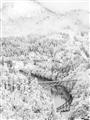 Picture of Winter snowscape _GroupedProduct_Rectangle_Portrait_Photography _GroupedProduct_Rectangle_Portrait_Unframed_Print_Only_