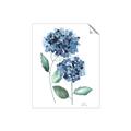 Picture of Blue Hydrangeas I _GroupedProduct_Rectangle_Portrait_Unframed_Print_Only_
