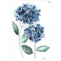 Picture of Blue Hydrangeas I _GroupedProduct_Rectangle_Portrait_Unframed_Print_Only_