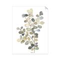 Picture of Soft Spoken I _GroupedProduct_Rectangle_Portrait_Unframed_Print_Only_